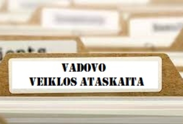 Vadovo veiklos ataskaita-627261ca242db91de4669fa37bad35d9.jpg